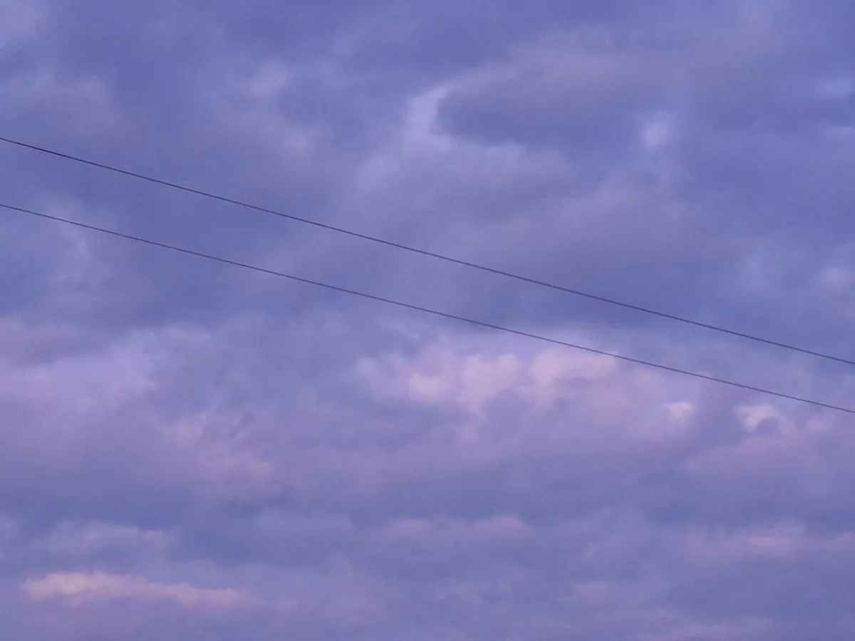 Exclusive Photographic Art Collection ​ Rare. - Image 2
