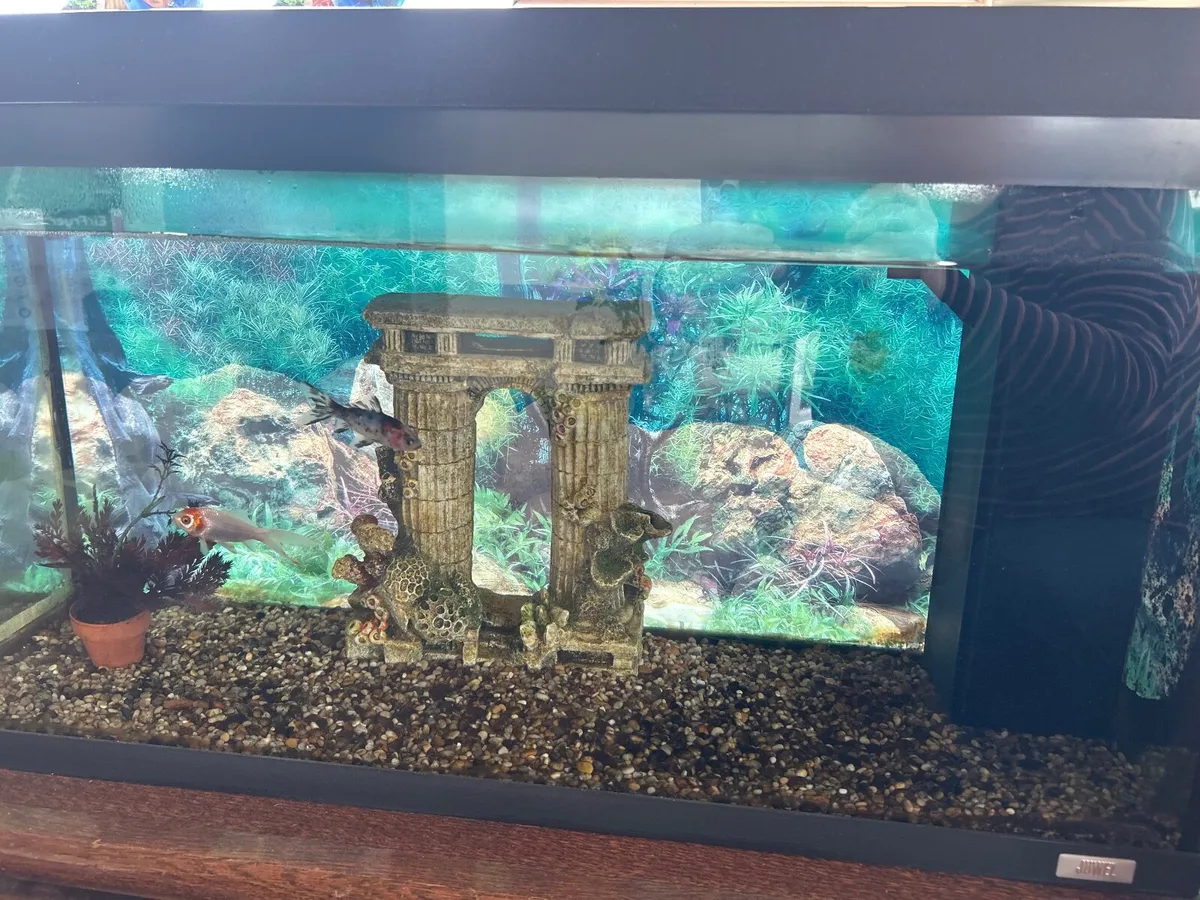 Aquarium - Image 1
