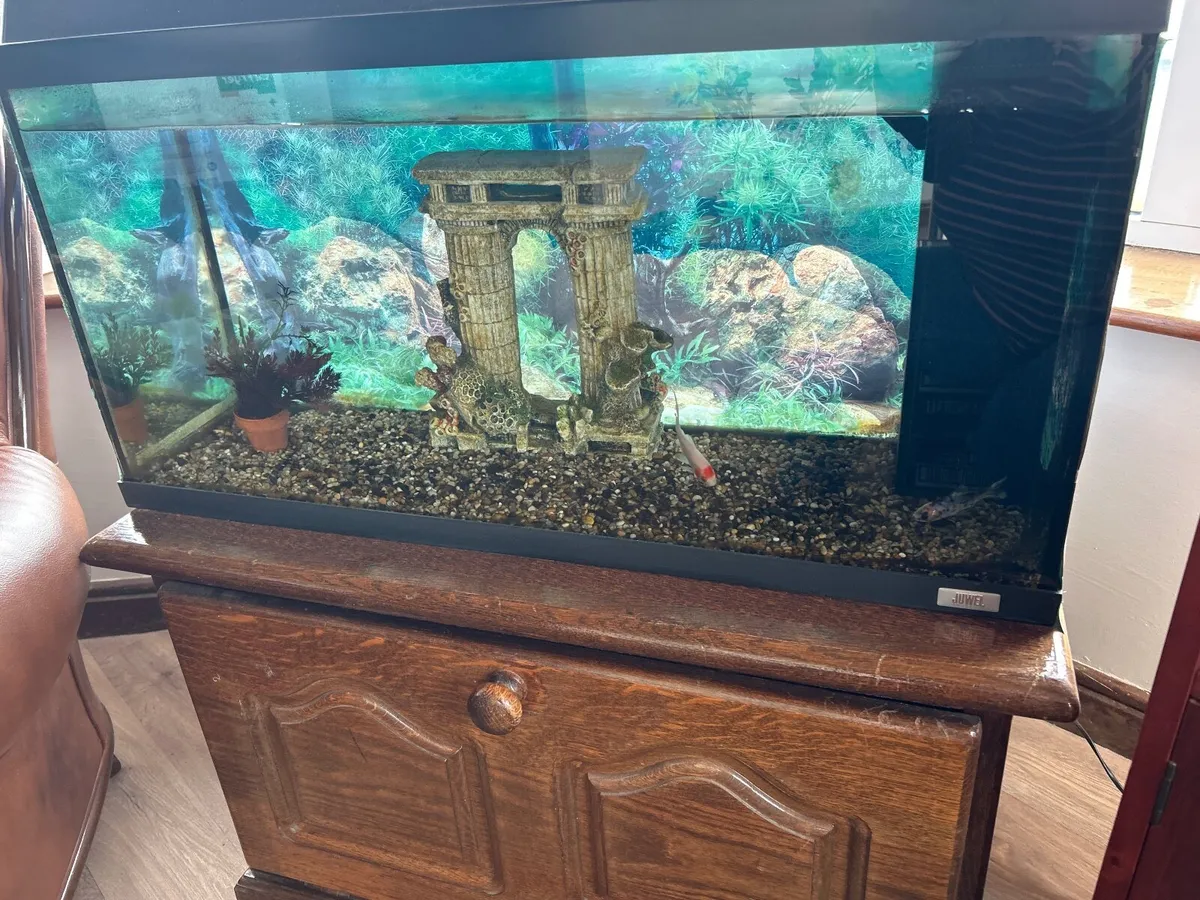 Aquarium - Image 2