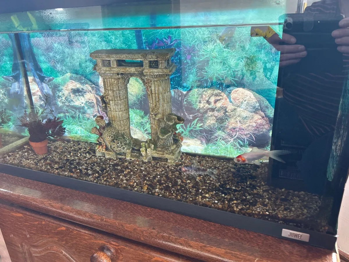 Aquarium - Image 3