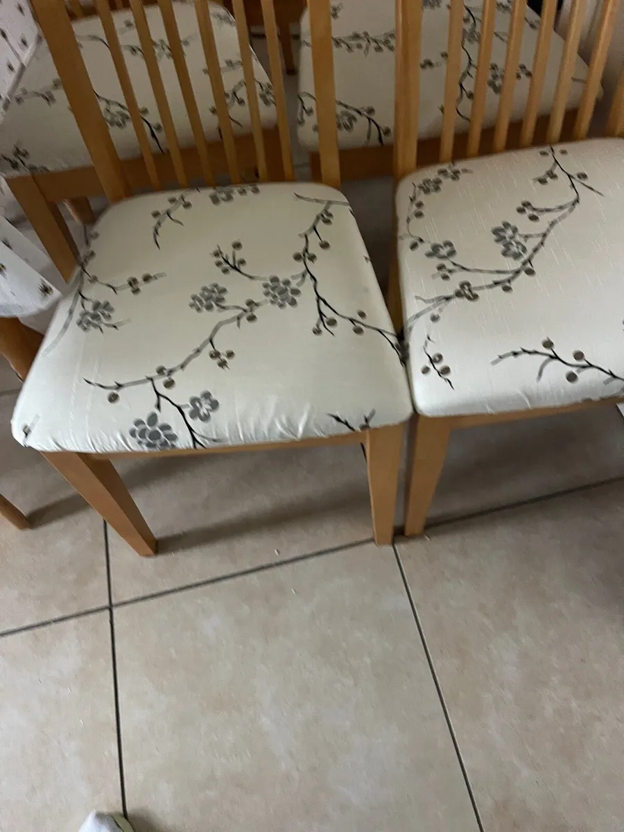 6 dining chairs - Image 4