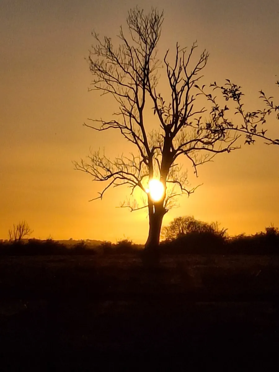 Exclusive Photographic Art Collection ​Rare 10 - Image 1