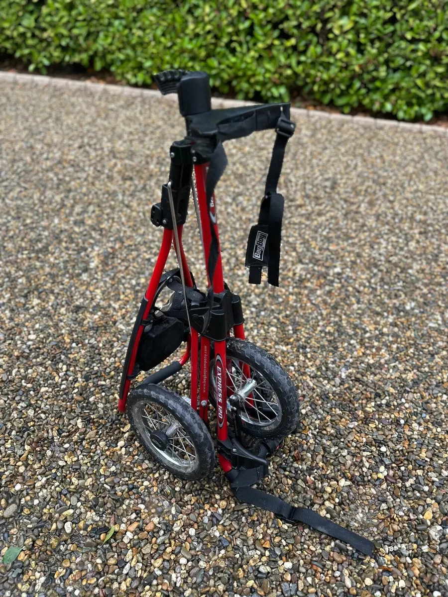 Golf Bag Boy Trolley - Image 3