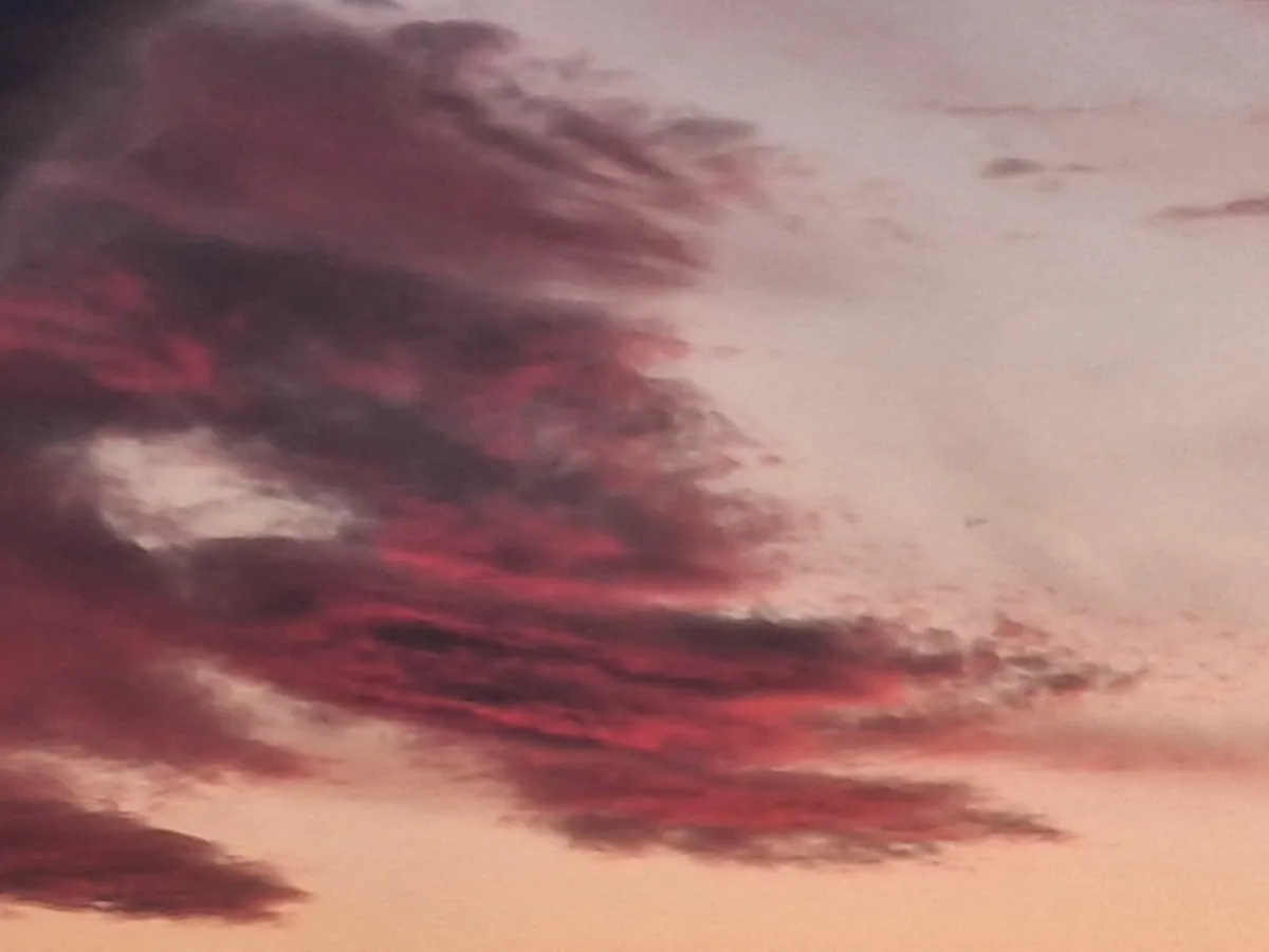 Exclusive Photographic Art Collection ​. - Image 2