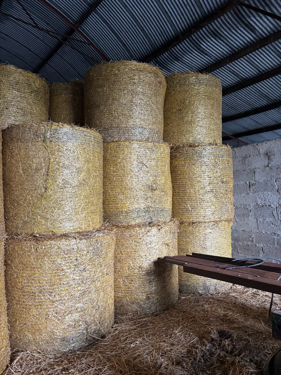 Oat straw