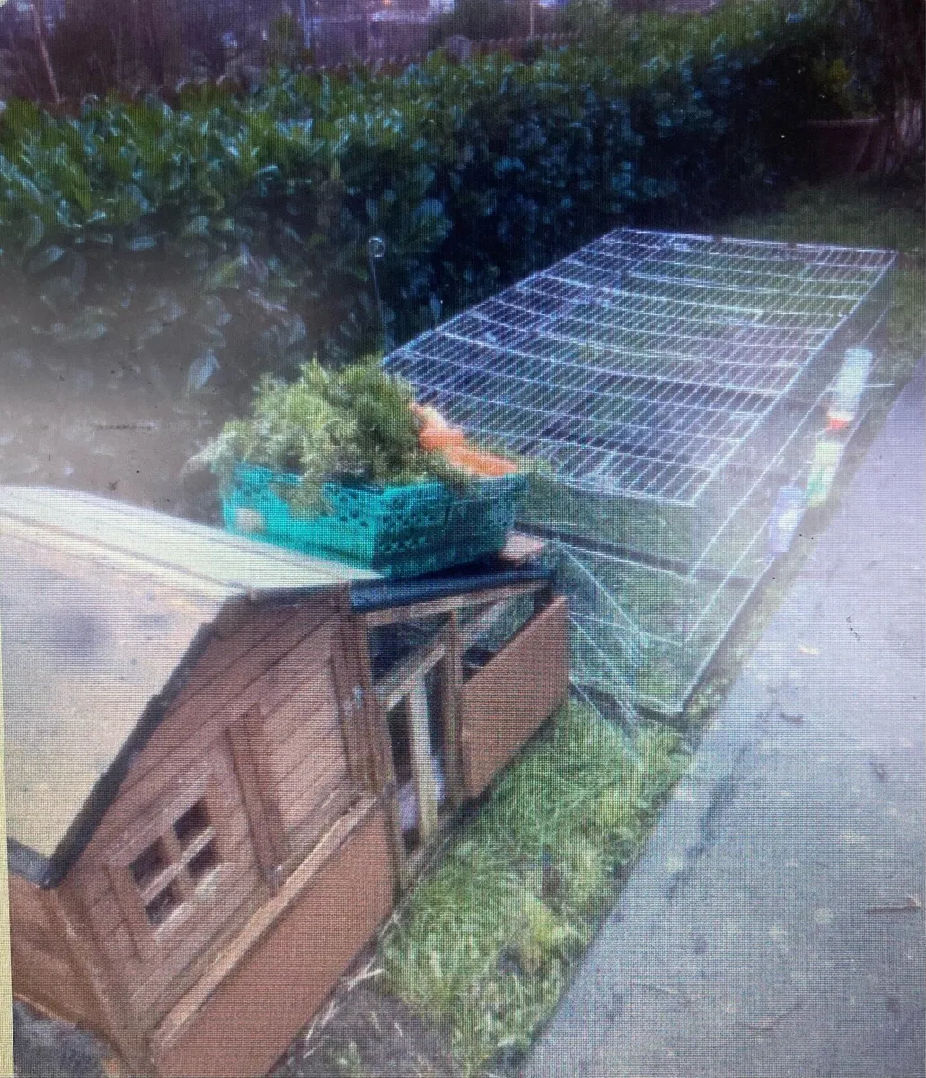Rabbit Run & Accessories - Image 1
