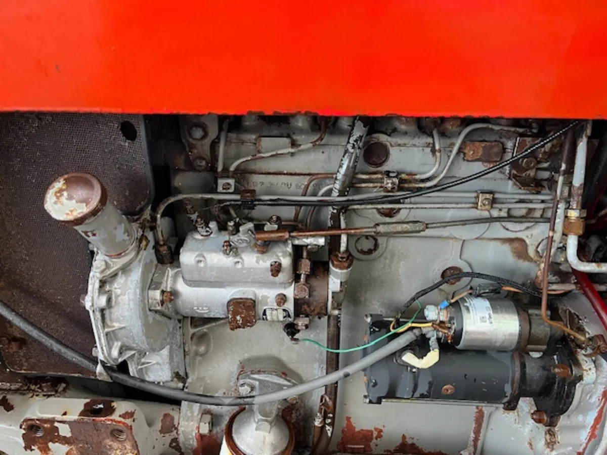1980 Massey Ferguson 565 2 door 2wd tractor - Image 4