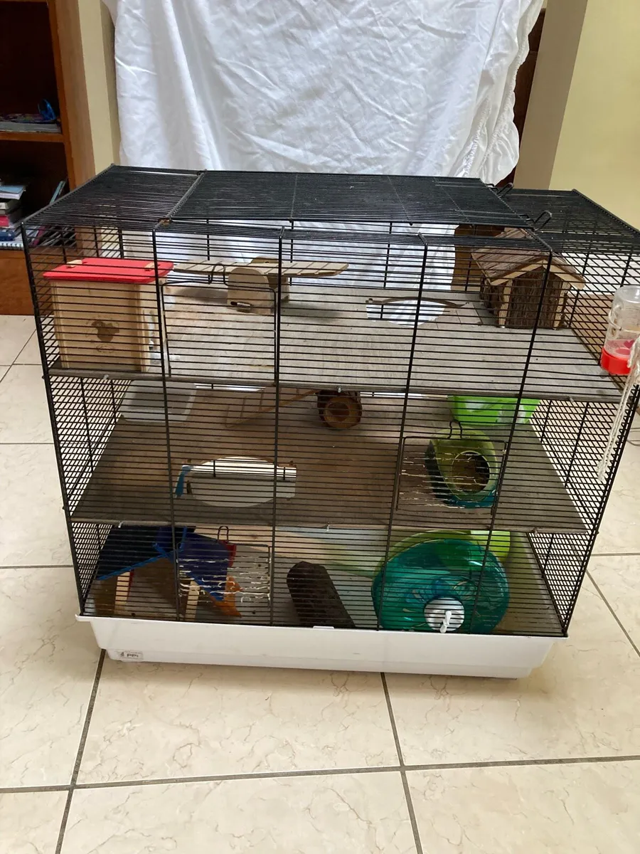 Hamster cage & Lots of accessories - Image 2