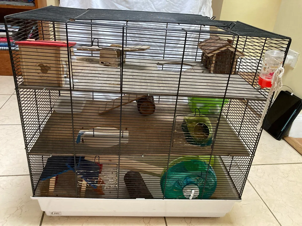 Hamster cage & Lots of accessories - Image 3