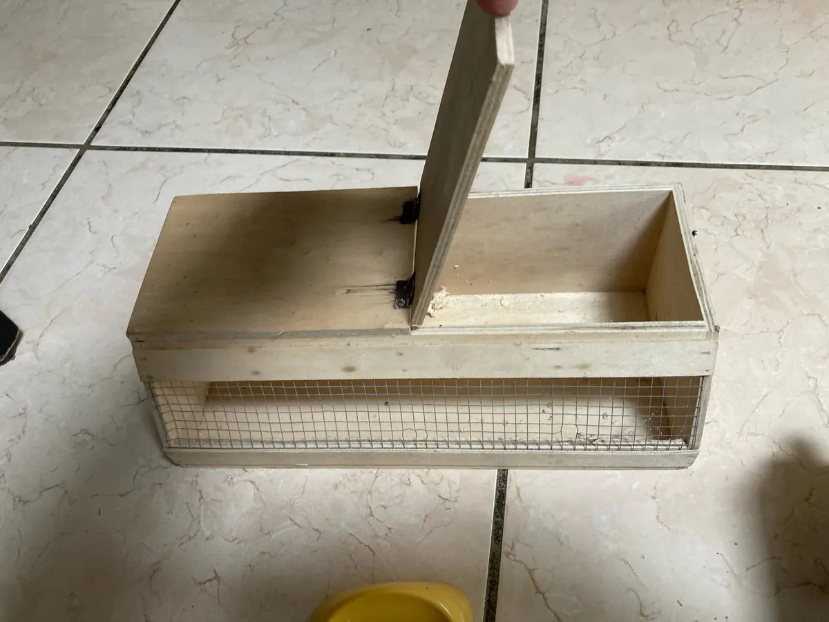 Hamster cage & Lots of accessories - Image 4