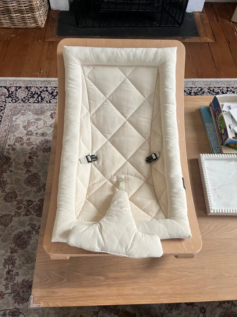 Charlie Crane Levo Baby Bouncer - Image 4