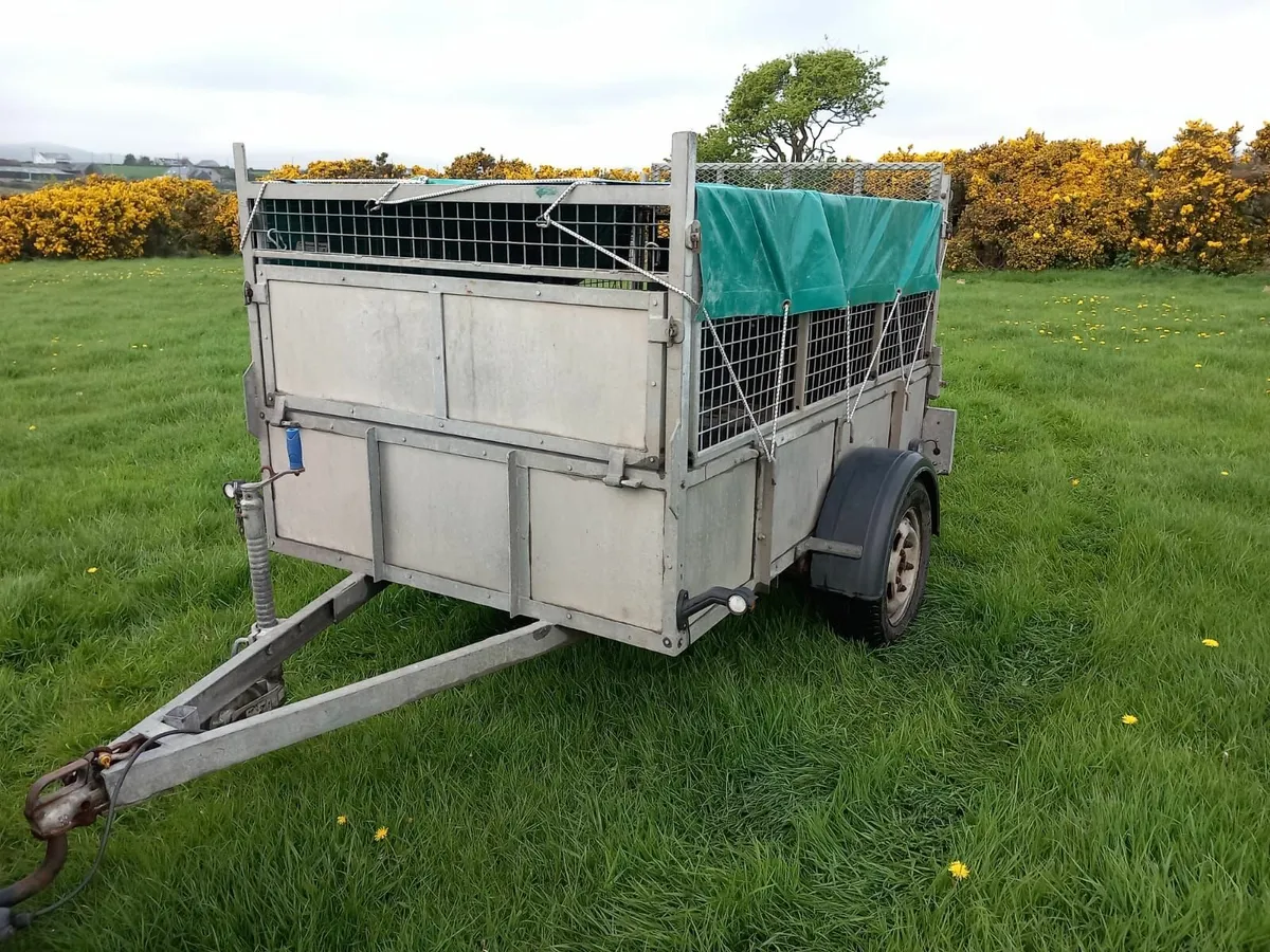 Quad Sheep Trailer - Image 1