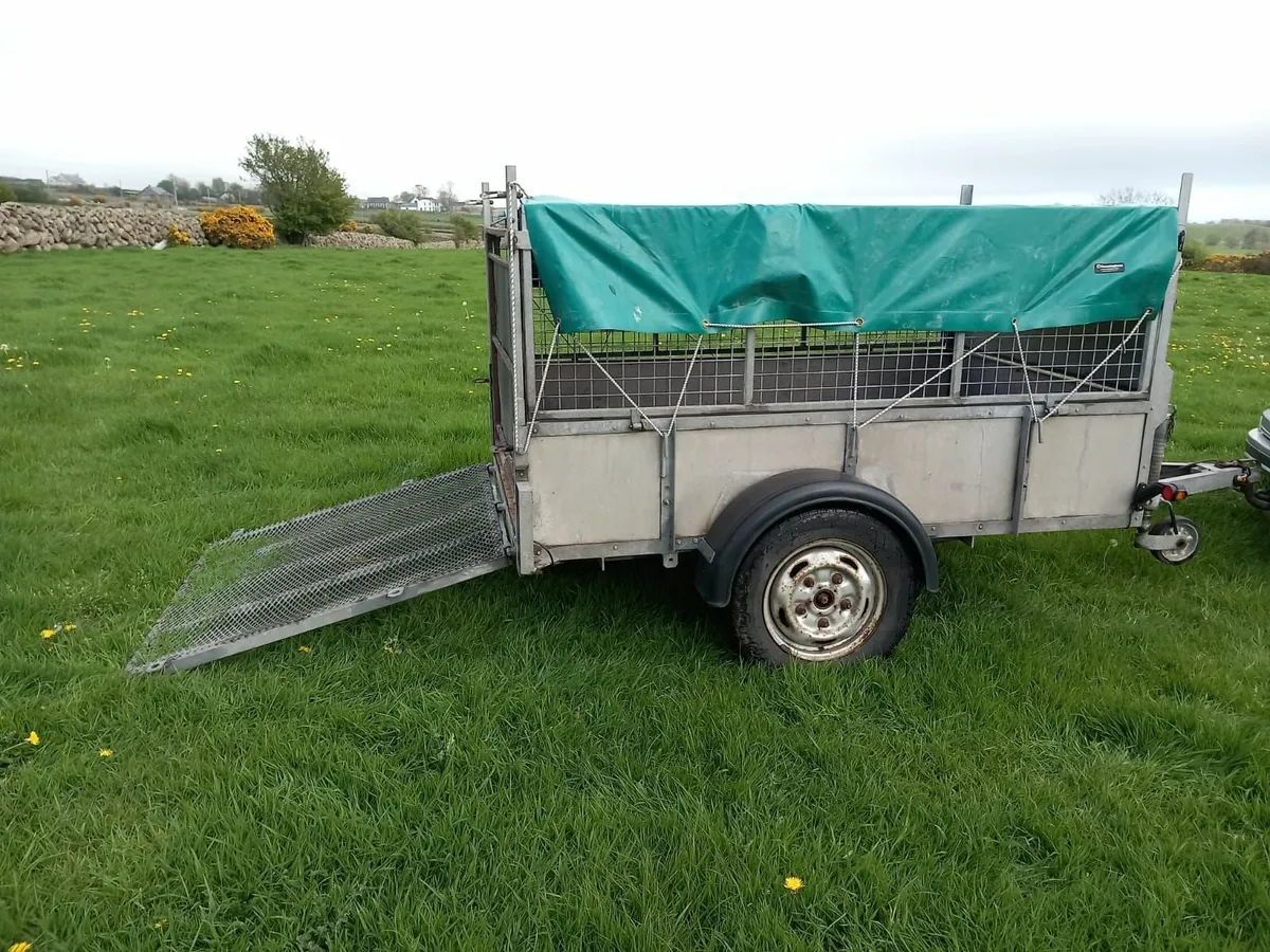 Quad Sheep Trailer - Image 3