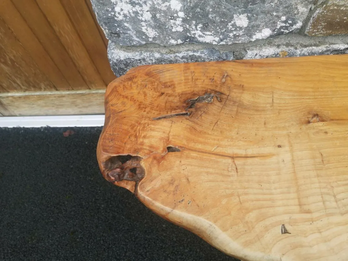 Vintage Tree Root Console Table - Image 3