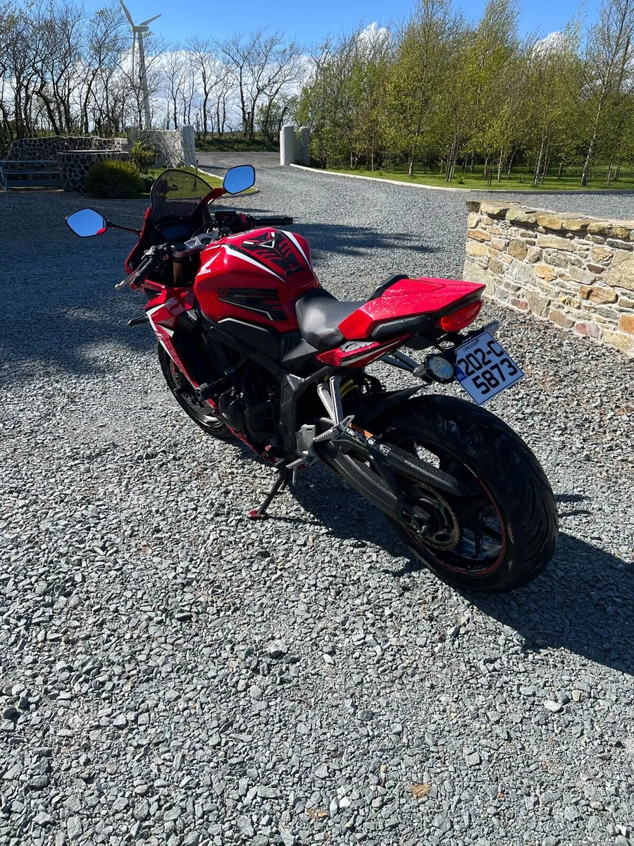 Honda cbr650r - Image 3