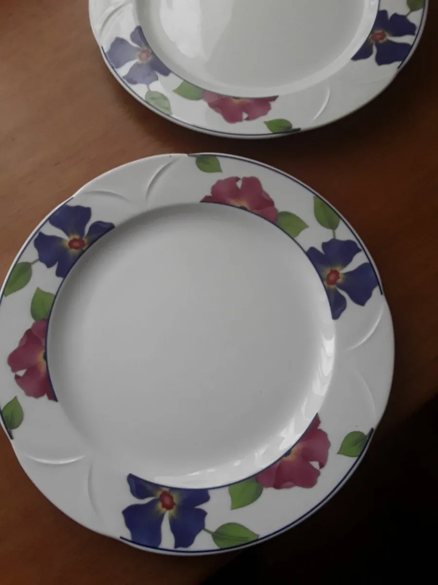 Two dinner plates suitable for matching up - Image 2