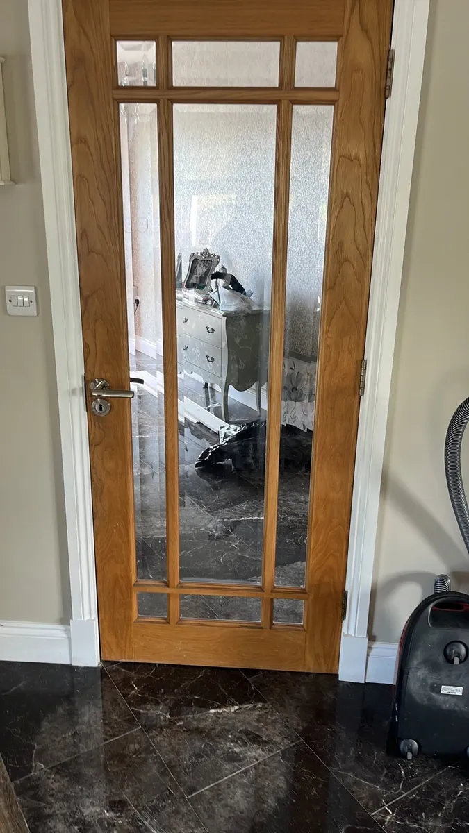 Internal Door - Image 2