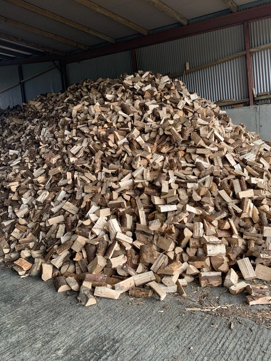 Firewood - Image 2