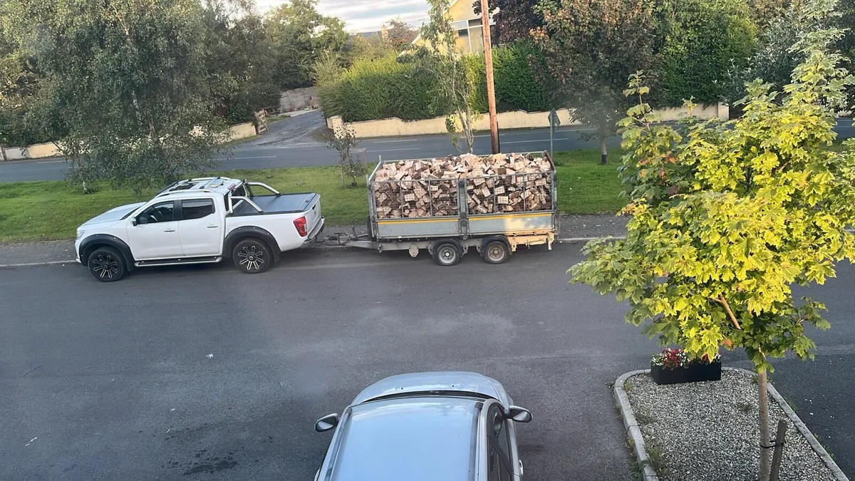 Firewood - Image 4