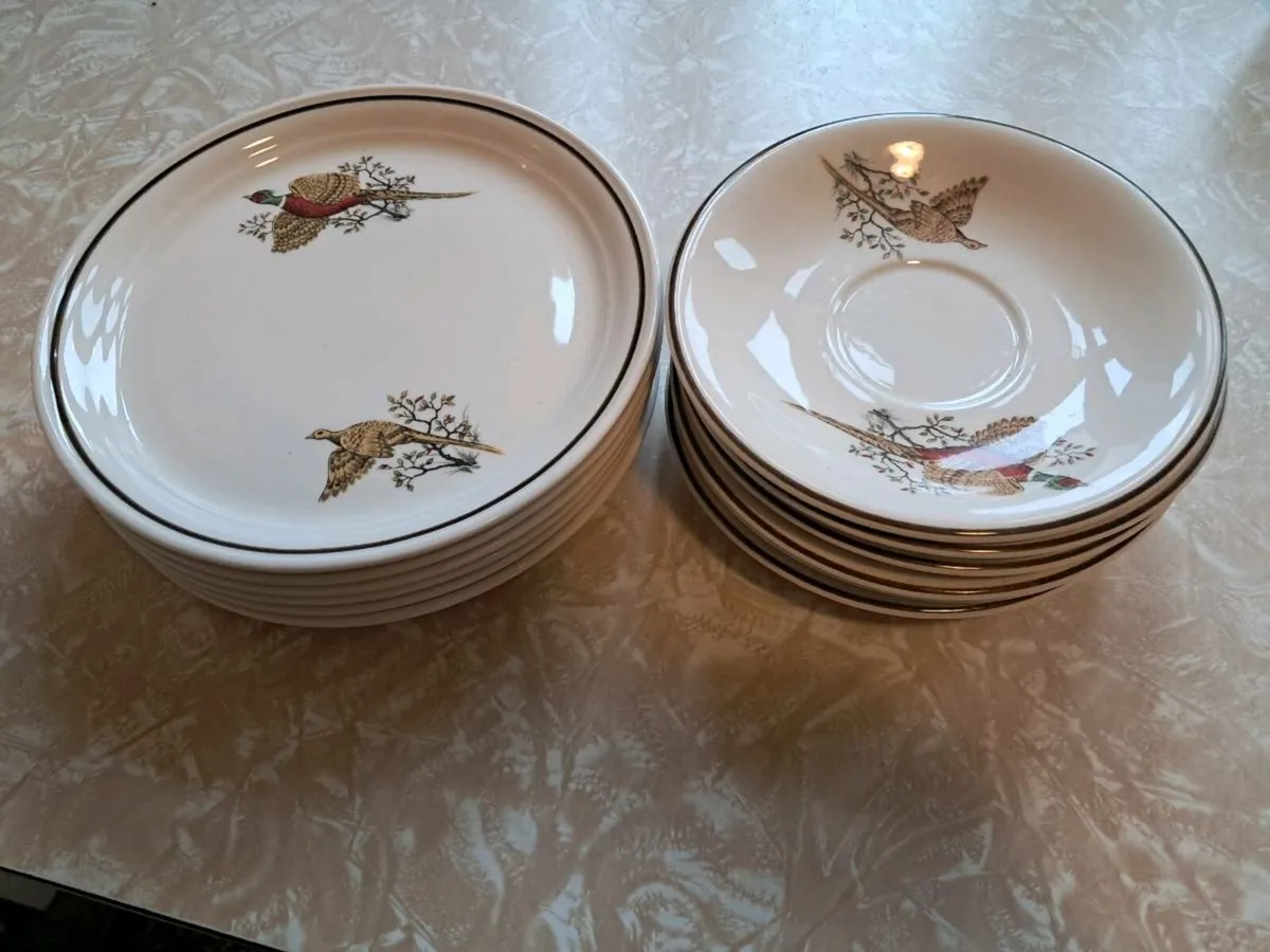Arklow Pottery Wild Pheasant Tea Set - Image 4