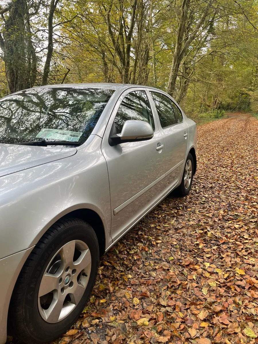 Skoda Octavia 2009 1.9 - Image 3