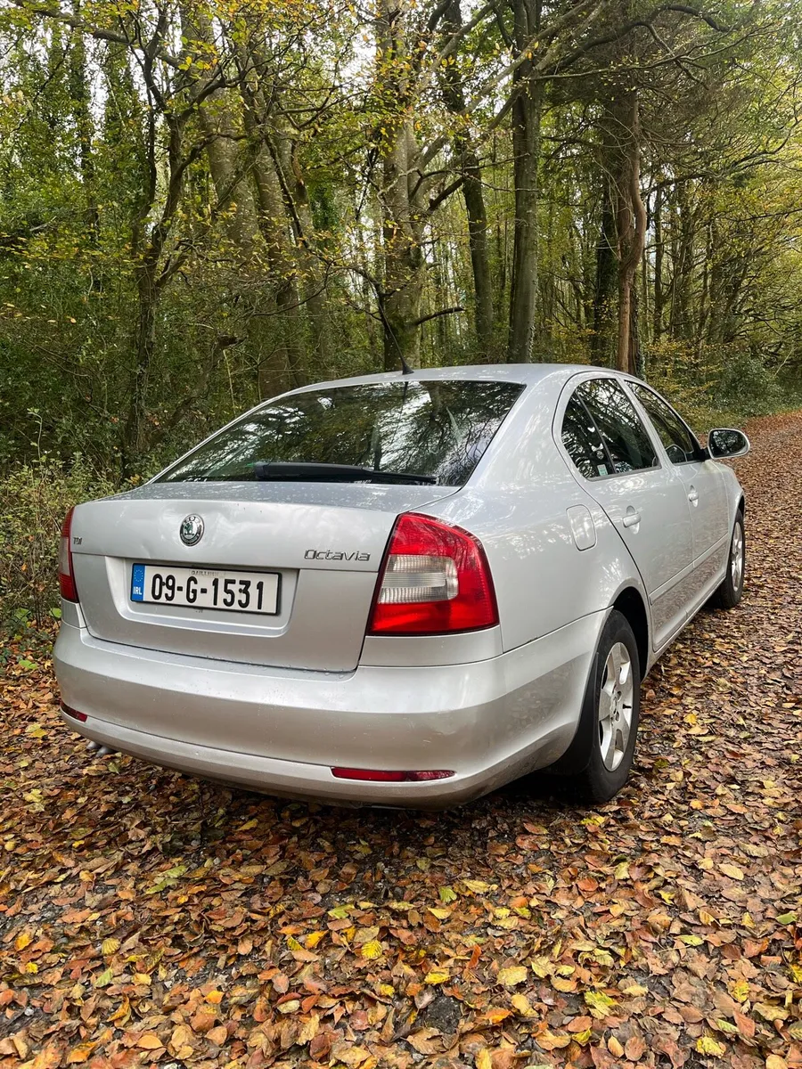 Skoda Octavia 2009 1.9 - Image 4