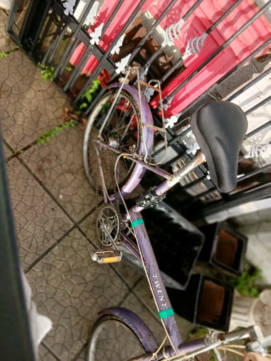 Raleigh twenty - Image 2