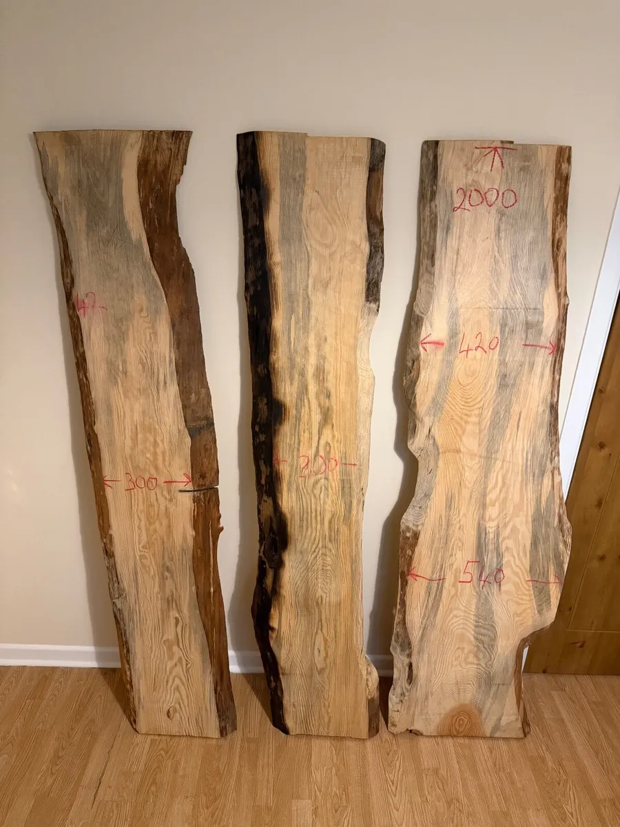Wooden dried slabs - Image 1