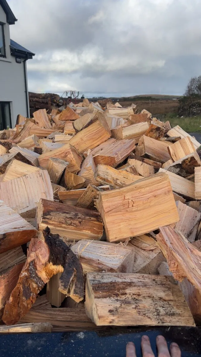 Firewood - Image 4