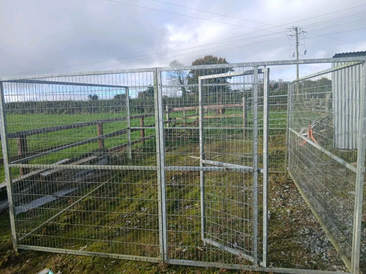 Dog kennel - Image 4