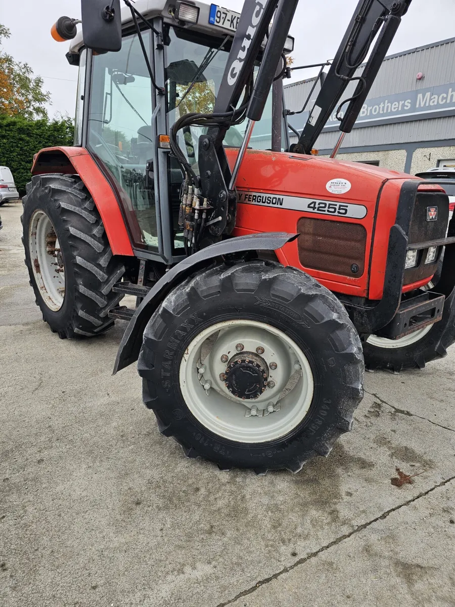 Massey Ferguson 4255 - €27,500 - No VAT - Image 2