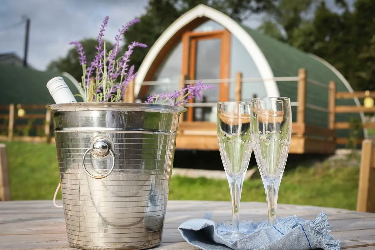 Swanlakeglamping Experience. - Image 3