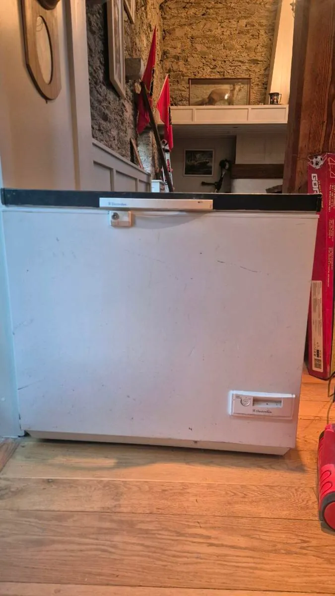 Electrolux chest freezer - Image 1