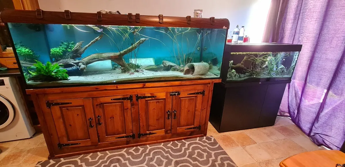 Fish Tanks - Image 3