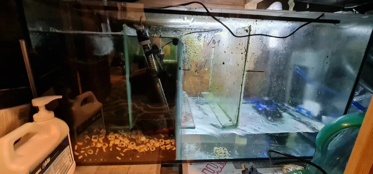 Fish Tanks - Image 4