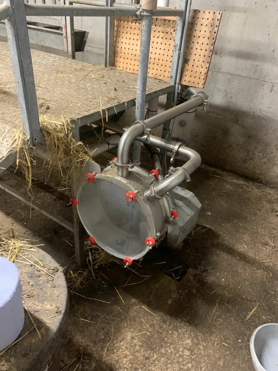 Goat milking parlour and stand - Image 1