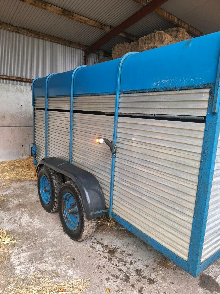 cattle trailer - Image 2
