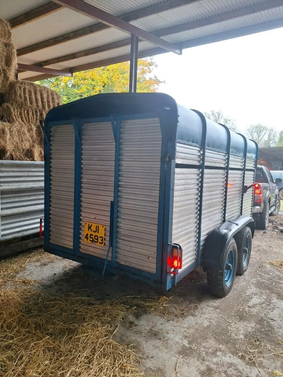 cattle trailer - Image 3