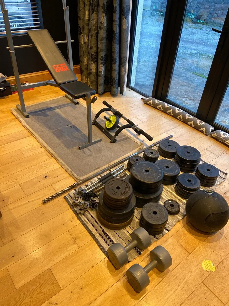 Gym Weights - Image 1