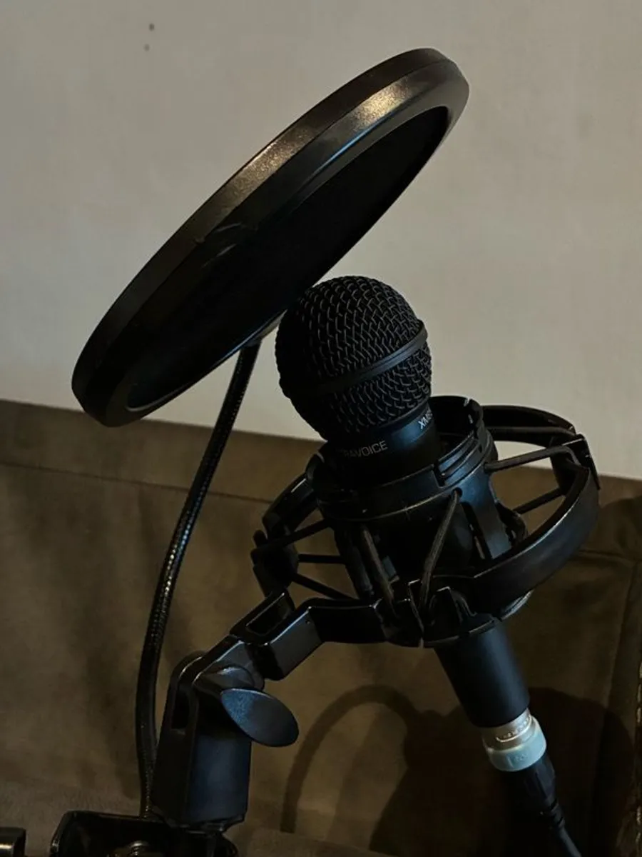 Microphone - Image 4
