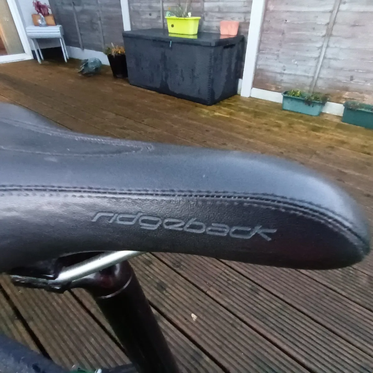 Ridgeback Velocity hybrid - Image 2