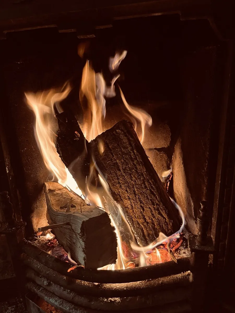 Ash firewood - Image 1