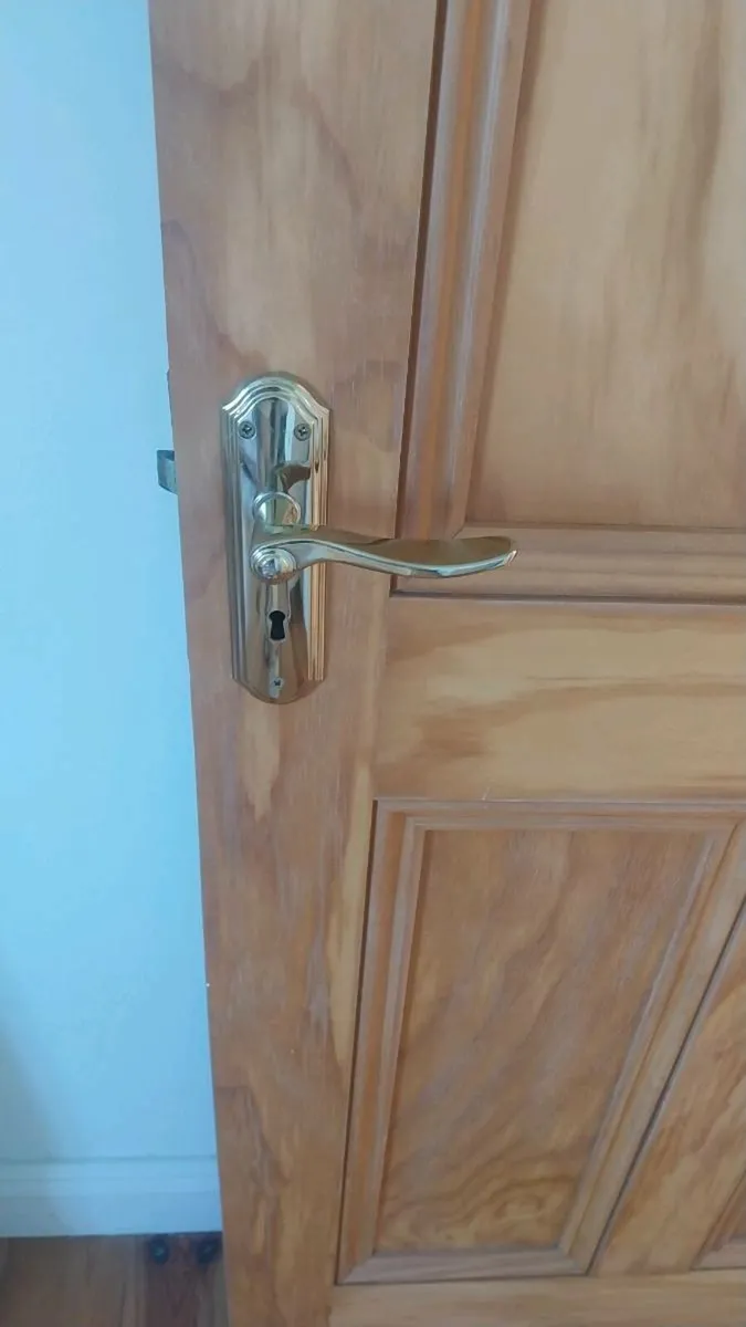 Doors - Image 4