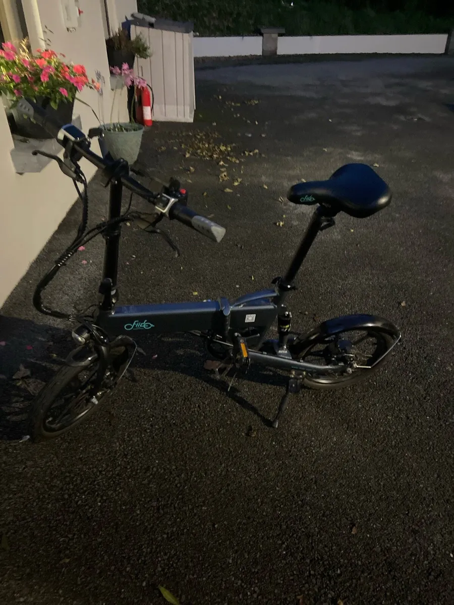 Electric bike - Image 1