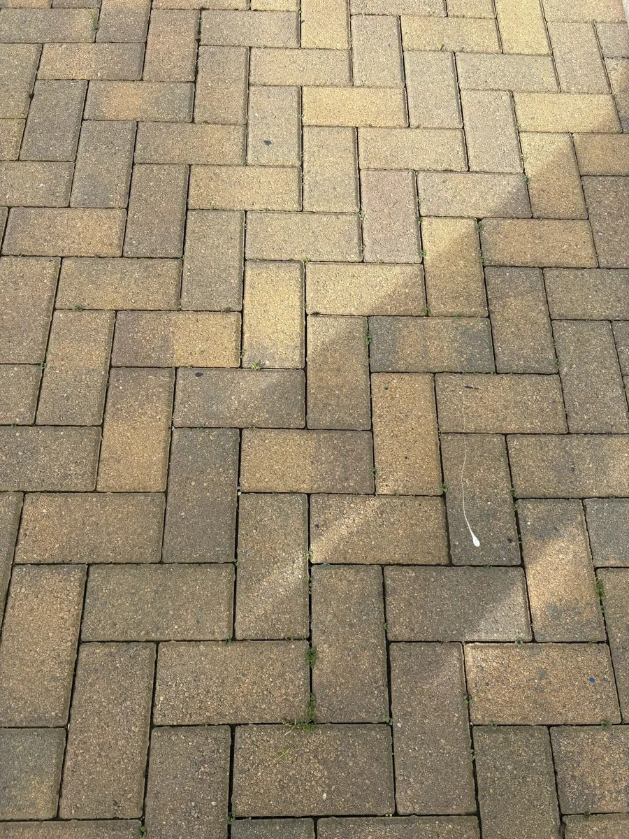Paving bricks - Image 1