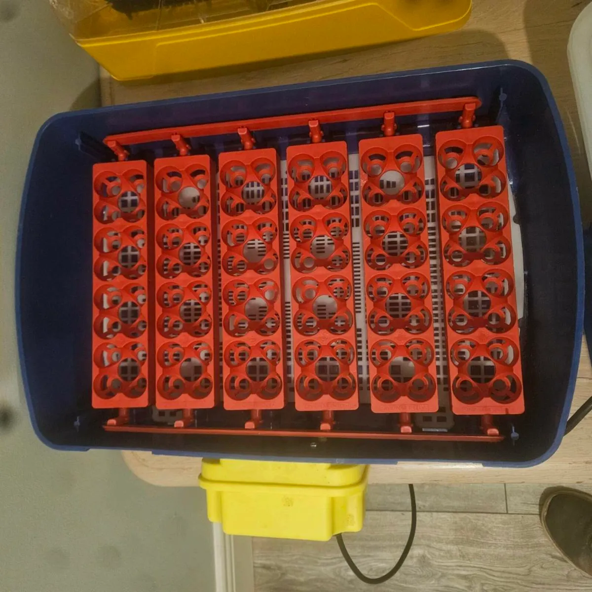 Borotto Real Incubator - Image 2