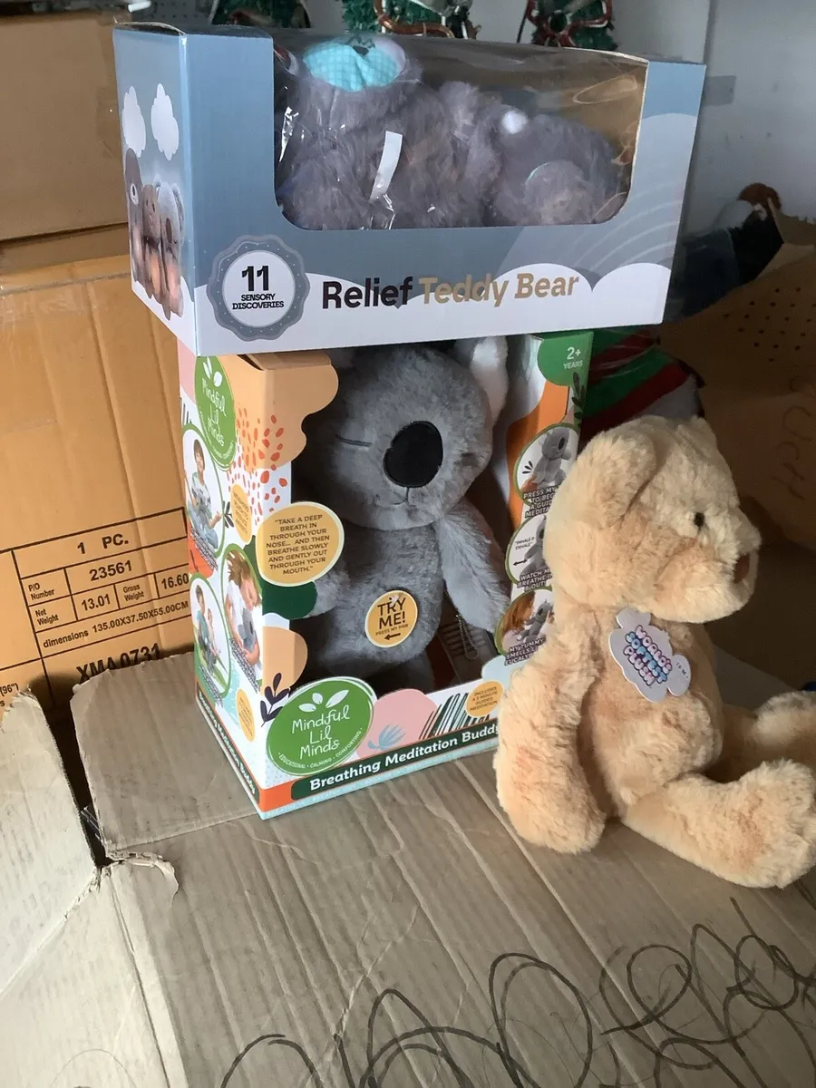 SEALS BOXES, MEDITATION BEAR, BREATHING OTTER,TED. - Image 1