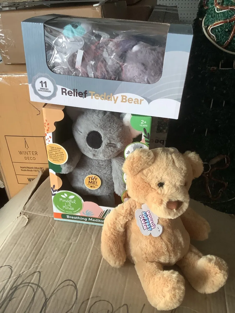 SEALS BOXES, MEDITATION BEAR, BREATHING OTTER,TED. - Image 2