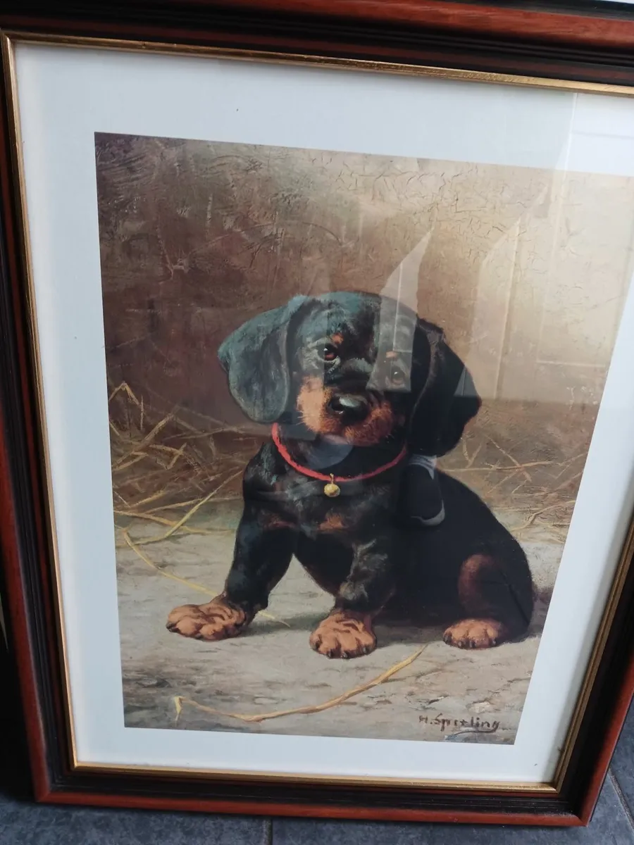 Beautiful framed pitcure - Image 1