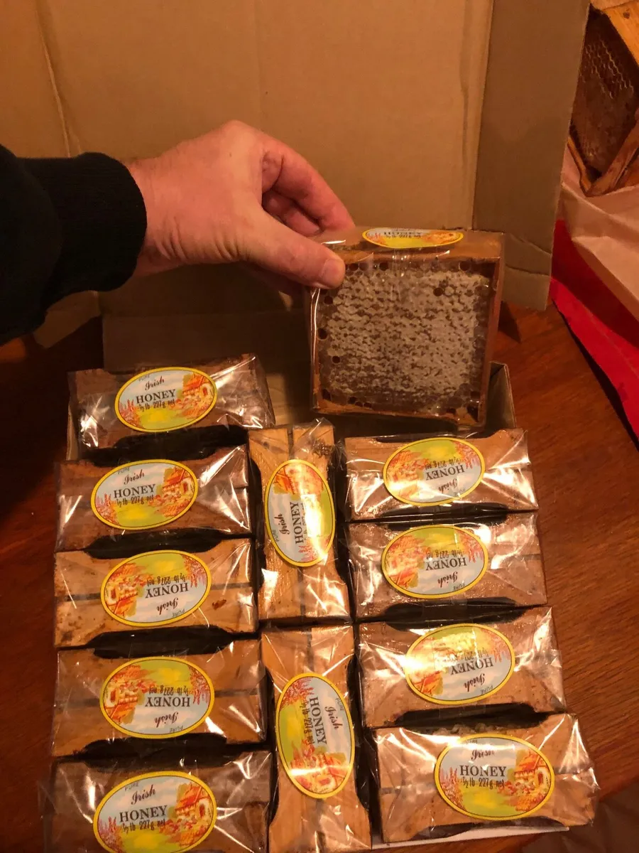 Traditional Section Honey - Image 4